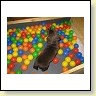 Mr. Choco  IMG_6707