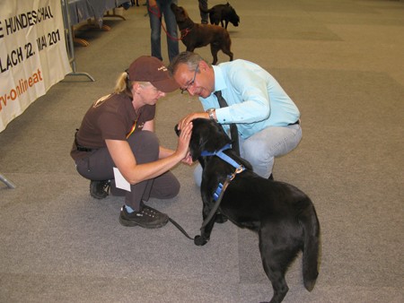 Austrian Retriever bei der Hundeaustellug IMG_7176