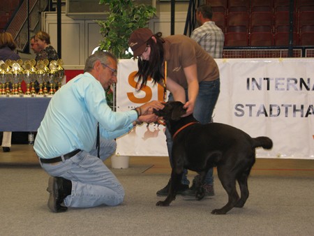 Austrian Retriever bei der Hundeaustellug IMG_7238