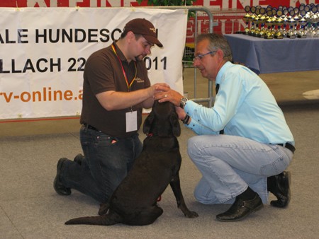 Austrian Retriever bei der Hundeaustellug IMG_7269