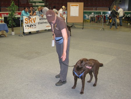 Austrian Retriever bei der Hundeaustellug IMG_7273