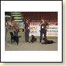 Austrian Retriever bei der Hundeaustellug IMG_7311
