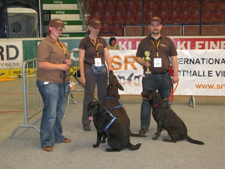 Austrian Retriever bei der Hundeaustellug IMG_7324