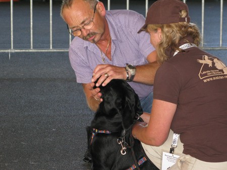 Austrian Retriever bei der Hundeaustellung IMG_840