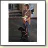 Austrian Retriever bei der Hundeaustellung IMG_841