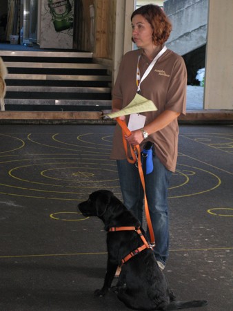 Austrian Retriever bei der Hundeaustellung IMG_841