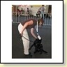 Austrian Retriever bei der Hundeaustellung IMG_843