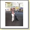 Austrian Retriever bei der Hundeaustellung IMG_844