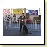 Austrian Retriever bei der Hundeaustellung IMG_860