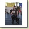 Austrian Retriever bei der Hundeaustellung IMG_864