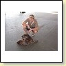 Austrian Retriever bei der Hundeaustellung IMG_868