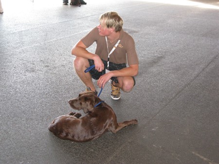 Austrian Retriever bei der Hundeaustellung IMG_868