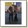 Austrian Retriever bei der Hundeaustellung IMG_869