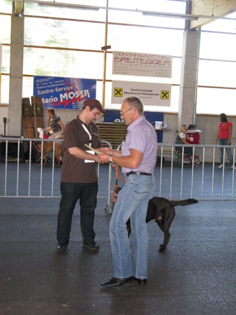 Austrian Retriever bei der Hundeaustellung IMG_874