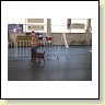 Austrian Retriever bei der Hundeaustellung IMG_878