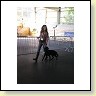 Austrian Retriever bei der Hundeaustellung IMG_880
