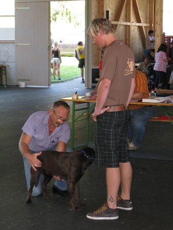 Austrian Retriever bei der Hundeaustellung IMG_886