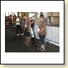 Austrian Retriever bei der Hundeaustellung IMG_894