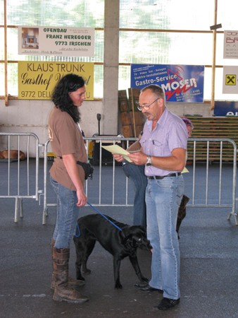 Austrian Retriever bei der Hundeaustellung MG8204