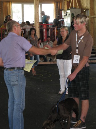 Austrian Retriever bei der Hundeaustellung MG8206