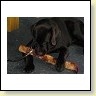 IMG_8250