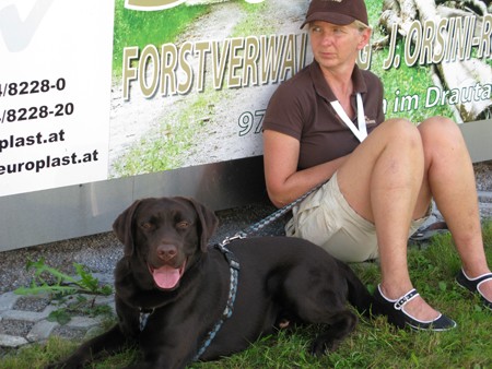 Austrian Retriever bei der Hundeaustellung IMG8252