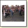 Austrian Retriever bei der Hundeaustellung IMG8259