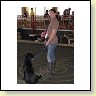 Austrian Retriever bei der Hundeaustellung IMG8277