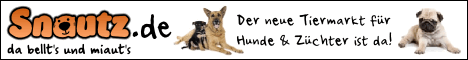 banner-hunde-468x60