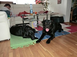 Kajo und Barney CIMG0963