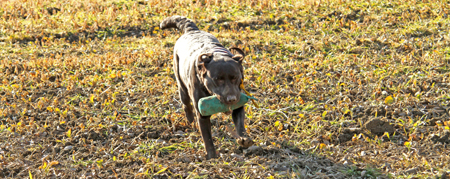 Cindy beim Training 