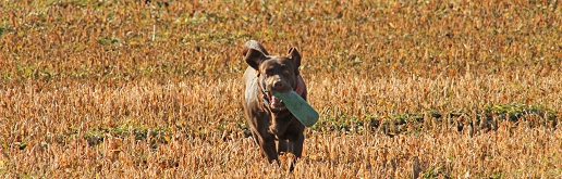 Oxana beim Dummy Training