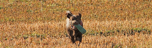 Oxana beim Dummy Training 