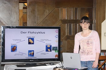 DEr Flohzyklus