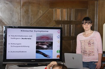 Klinische Symptome by Tierklinik Wallner Knittelfeld 