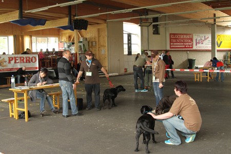 im Ring für dieChampionate IMG_0023