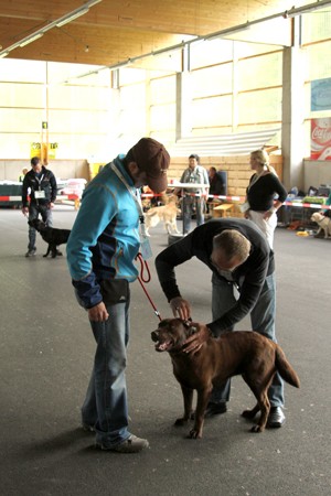 Thomas und Dana im Ring IMG_9822