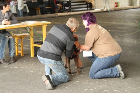 Marie Luise und Hanni im Ring IMG_9854