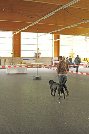 Petra und Barney Bandit im Ring IMG_9937