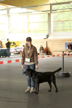 Petra und Barney Bandit im Ring IMG_9940