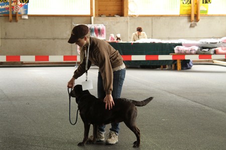 Petra und Cindy im Ring IMG_9960