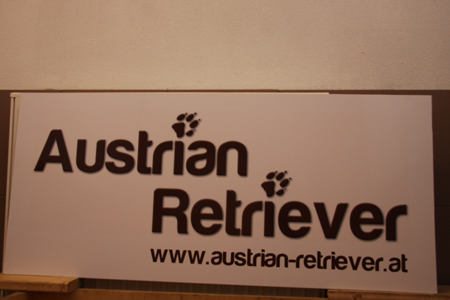 Austrian-Retriever Labrador vom Falkenberg