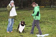 Welpentreffen F- und G Wurf vom Falkenberg 2013